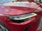 2024 Lexus RX 350 Luxury