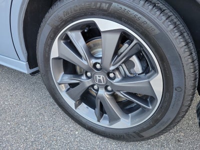 2024 Honda Odyssey Elite