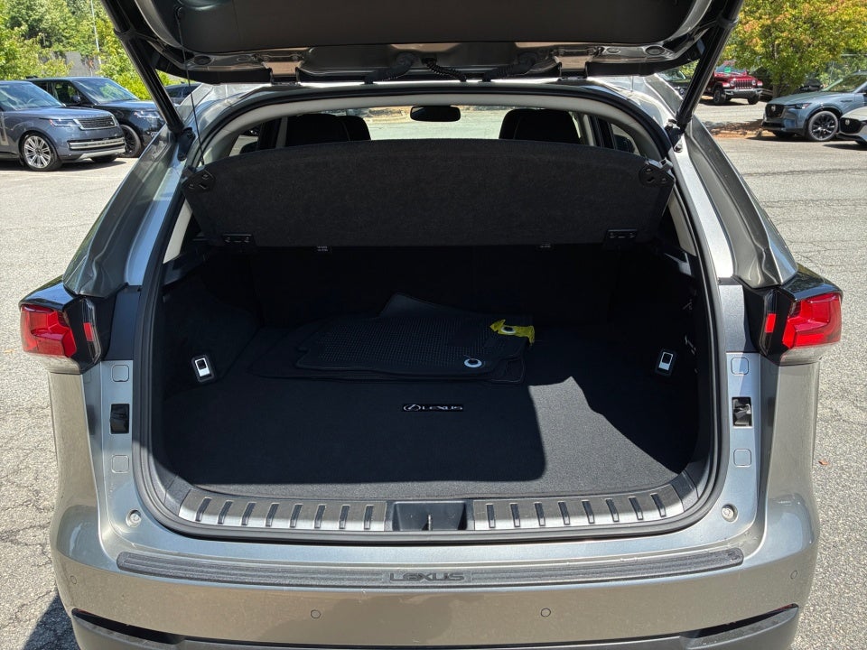 2019 Lexus NX 300 NX 300