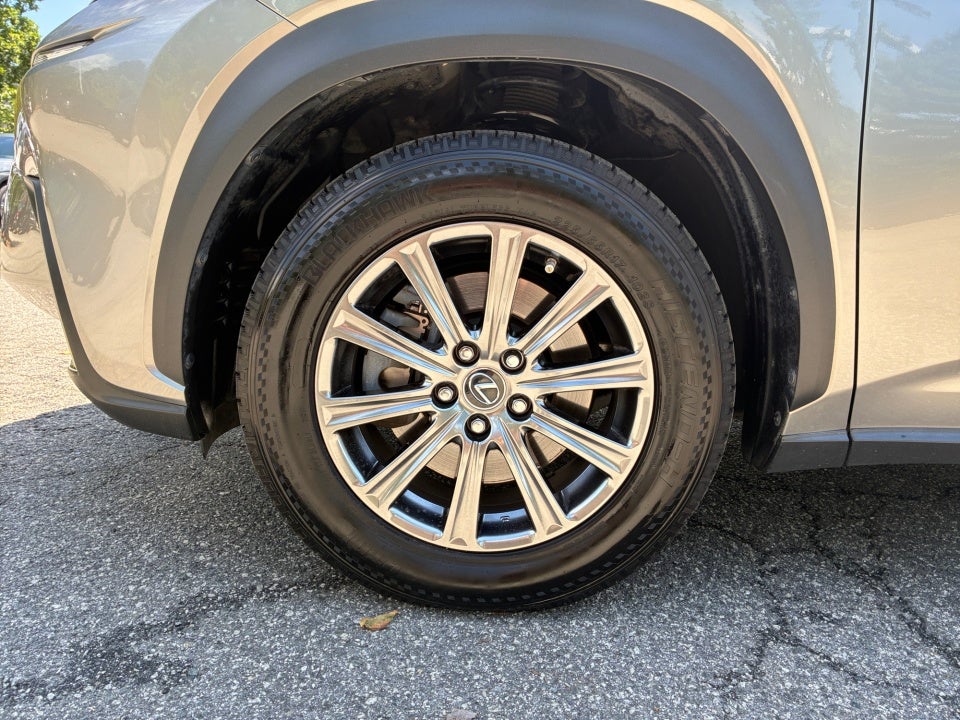 2019 Lexus NX 300 NX 300